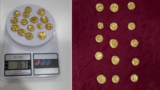 Toshkent viloyatidagi bojxona postida “jonli konteyner” qoʻlga tushdi