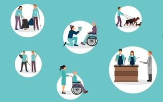 Дар Ўзбекистон платформаи электронӣ барои ҳаракати ихтиёрӣ ба роҳ монда мешавад