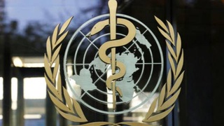 ВОЗ подтвердила режим ЧС в связи с оспой обезьян из-за роста заболеваемости