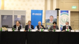 Фуқаросизлик ва қочоқлар ҳимоясига доир қўлланмалар – ўзбек тилида