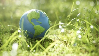 Экологический контроль:  в борьбе за чистоту природы