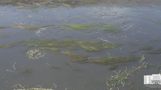 5 ta charm sanoat korxonalarni Toshkent shahar hududidan tashqariga koʻchiriladi