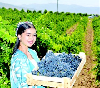 Деҳқоннинг хазинаси