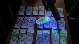 30 ming AQSh dollariga yer sotayotgan firibgarlar tezkor tadbir davomida qoʻlga olindi