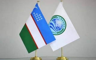 Дабири кулли СҲШ ва муовини ВКХ Ӯзбекистон омодагии чорабиниҳо дар чаҳорчӯби раёсати Ӯзбекистон дар ин созмонро баррасӣ карданд