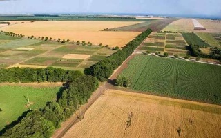 Как будут вести мониторинг сельскохозяйственных земель?