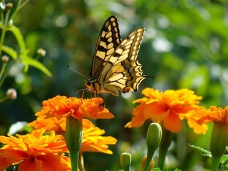 Weather forecast for June 24