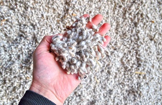 Тадбиркорлар бир вилоятдан иккинчи вилоятга пахта чигитини олиб ўтиши мумкинми?