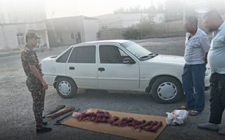 Ov taqiqlangan paytda 16 ta quyon noqonuniy ovlangani maʼlum boʻldi