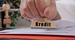 Асалари уяси олиш учун ажратилган имтиёзли кредит маблағини талон-торож қилинган МЧЖ раҳбари аниқланди