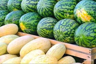 Ўзбекистон қовун ва тарвузлари энг кўп Қозоғистонга экспорт қилинган