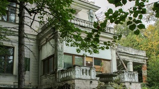 Сталин яшаган далаҳовли 4,3 миллион долларга сотилди – фото