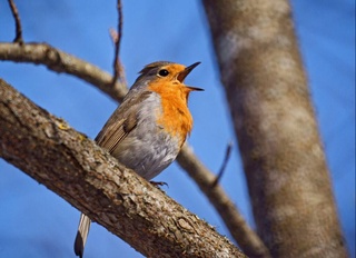 Прогноз погоды на день 25 февраля