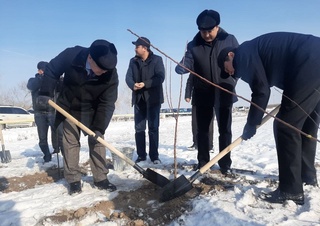 Қонликўл туманидаги қайта ўзлаштирилаётган ер майдонининг 10 гектарида «Сирдарё боғи» барпо этилади
