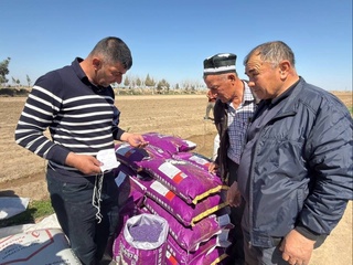 В Кызылтепском районе Навоийской области первыми начали посев