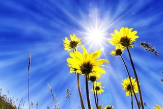 Республикамизга Кавказ ҳудудларидан нисбатан салқин ҳаво кириб келишни бошлади