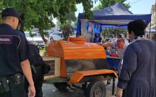 Летние напитки - спасение от жары или опасность для желудка?