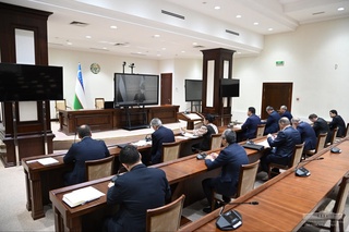 Daraxt ekishni umummilliy harakatga aylantirish targʻiboti yetarlicha olib borilmayapti