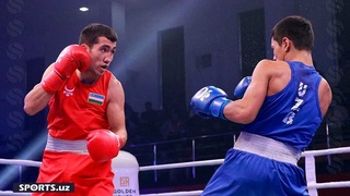 Бокс: опыт, перспективы, тенденции