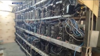 Сирдарёда 34,3 млрд сўмлик электр энергияни талон-торож қилган майнинг ферма аниқланди