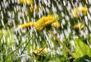 Weather forecast for March 20