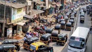 В Индии хотят заменить автогудки флейтами и скрипками