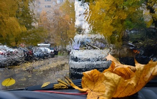 Эртага баъзи жойларда ёмғир ёғади