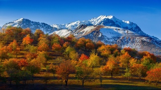 Ҳаво ҳарорати аста-секин кўтарилади. +27 даражагача исийди — Ўзгидромет