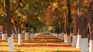 Прогноз погоды на 18 октября