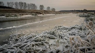 Янги йилнинг биринчи иш ҳафтасида қандай об-ҳаво кутилади﻿
