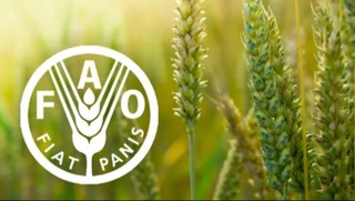 Өзбекстан БМШтың Азық-аўқат ҳәм аўыл хожалығы шөлкеми (ФАО) Кеңесине сайланды