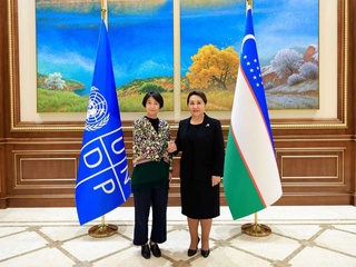 Meeting held with UNDP Resident Representative in Uzbekistan