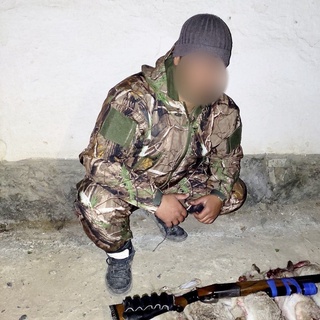 Сурхондарёда 17 бош ёввойи қум товушқонини овлаган шахс ушланди