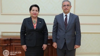 Сенат Раиси Туркия Республикасининг Ўзбекистондаги Фавқулодда ва Мухтор Элчиси билан учрашди