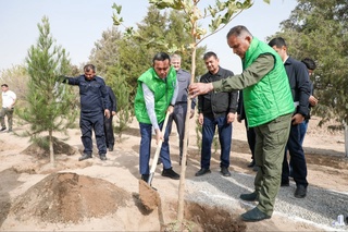 Surxondaryoda avtomagistral yoʻllar boʻylab koʻchat ekish ishlari boshlandi