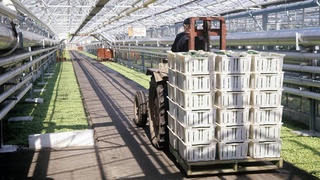 Цель - расширение потенциала по переработке и экспорту высококачественной продукции