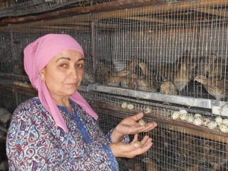 Bedana tuxumi yetishtirish Ohalik mahallasining drayveriga aylandi