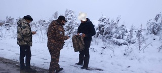 Qirgʻovul ovlagan ovchi ovchilar safidan chetlashtirildi