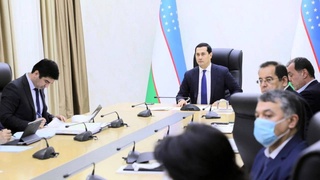 Рассмотрены меры по стимулированию развития кожевенно-обувной отрасли страны