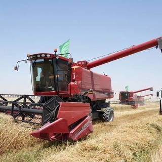 Ургутлик ғаллакорлар товар дон топшириш бўйича режани уддалашди