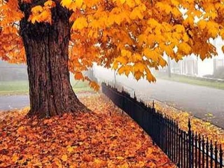 31 октябрда Ўзбекистон ҳудудига Эрон томондан иссиқ ҳаво кира бошлайди