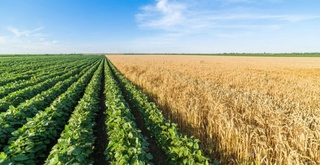 Foydalanishga kiritilgan yerlar – aholi foydasiga xizmat qilmoqda