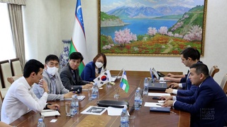 Дар Ӯзбекистон технологияҳои кореягӣ барои парвариши тути заминӣ дар тамоми сол  пайдо мешаванд