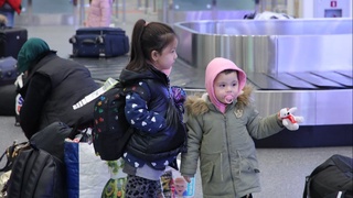 Украинадан жами қанча ўзбекистонлик эвакуация қилингани маълум бўлди