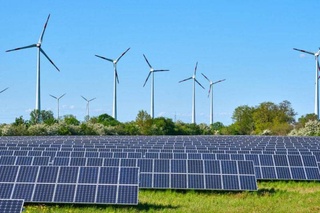 Государственные вузы Узбекистана полностью включены в информационную систему «Зеленая энергия»