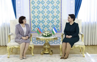 Сенат Төрайымы Душанбеге сапары аясында Әзербайжан Республикасы Ұлттық Мәжілісінің Төрайымен кездесті