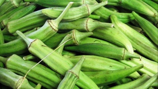 Ноанъанавий қишлоқ хўжалиги экинларининг таснифи ва иқтисодий самарадорлиги бўйича каталоги тайёрланди