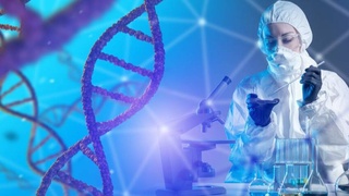 Ученые нашли способ «отключить» старение