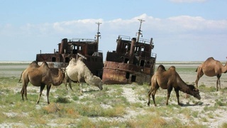 Остров Возрождения: сохранение природы и развитие региона Приаралья