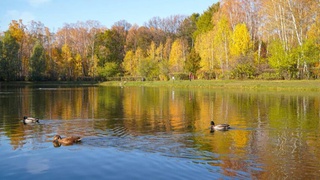 Weather forecast for October 7th